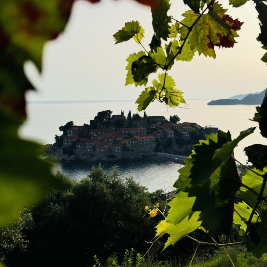 Widok na wyspę Sveti Stefan w Czarnogórze obramowany zielonymi liśćmi winorośli o zachodzie słońca
